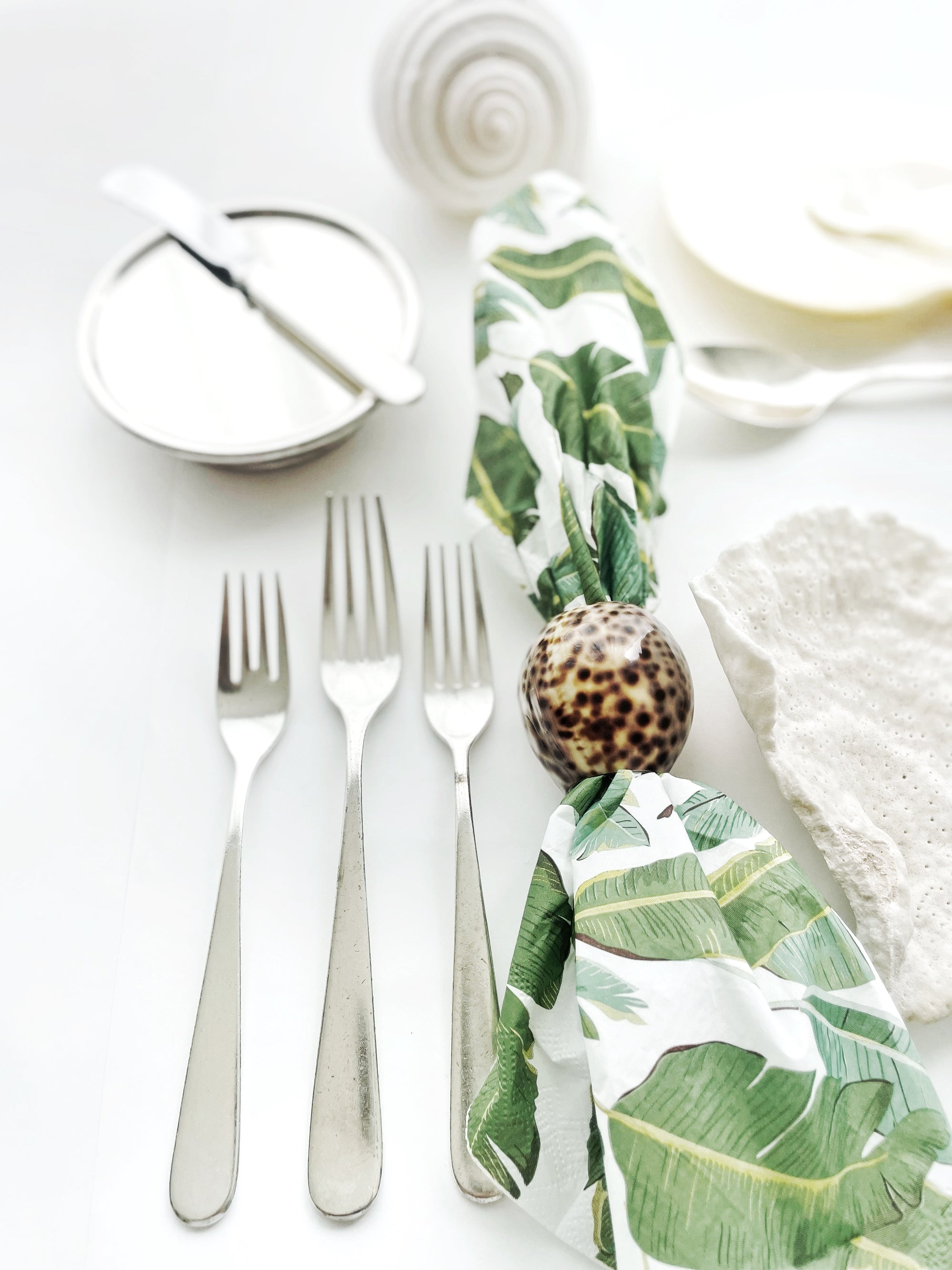 Real Tiger Cowrie Shell Napkin Ring Set 4