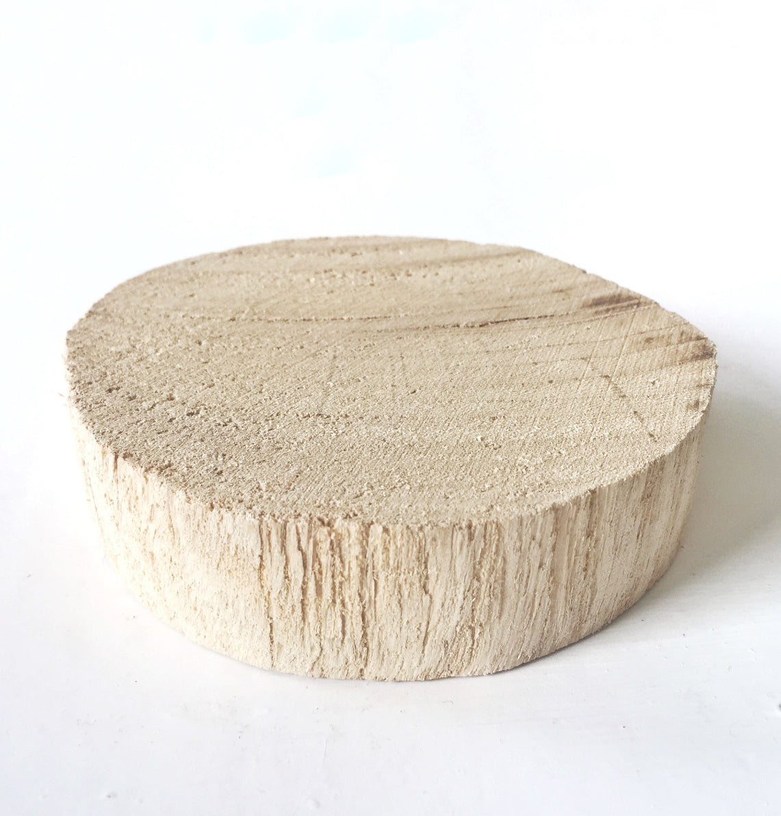 Brown Stem Coral C on Timber Slice