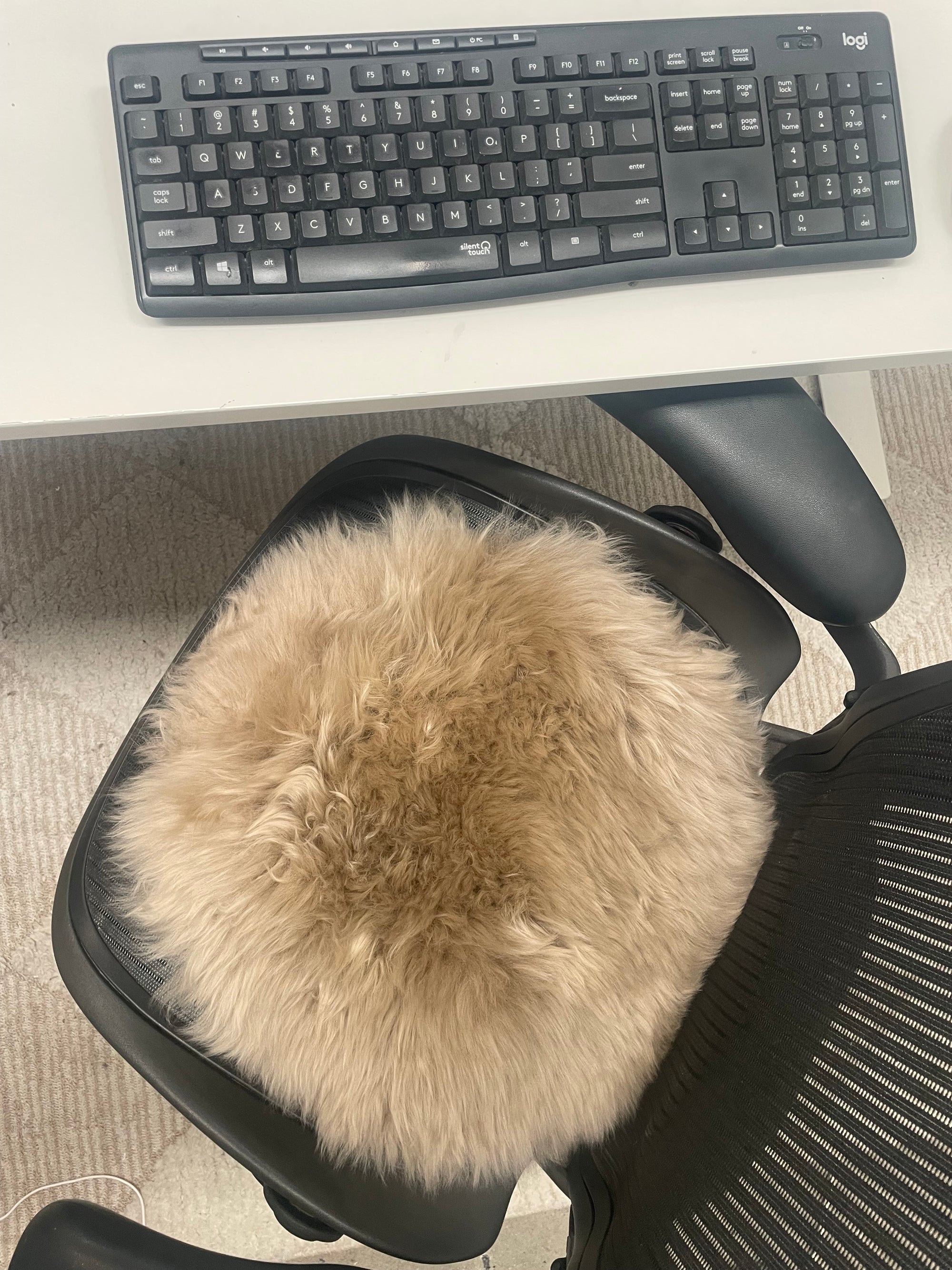 Genuine Australian Merino Sheepskin Round Dining Chair Seat Cover - Biscuit