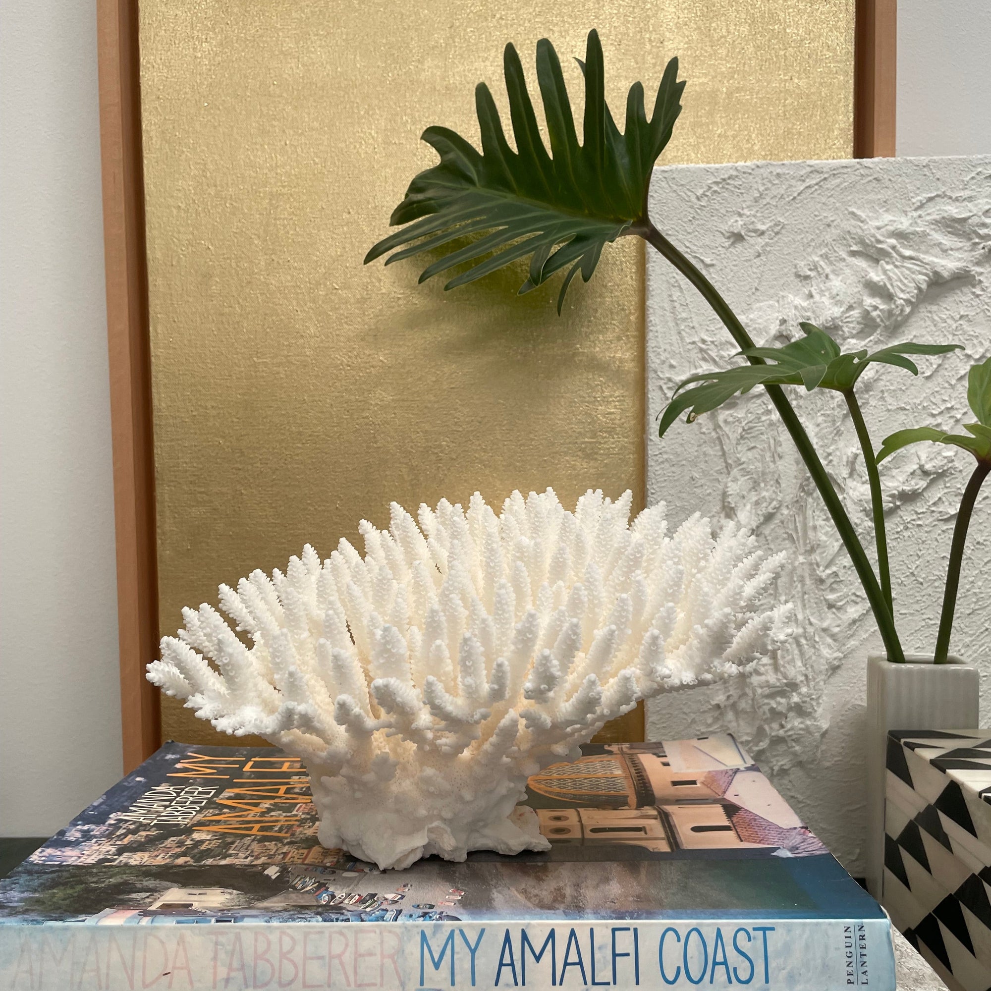 A white coral-like decorative sculpture displayed on top of stacked books, with a potted green plant and a textured white wall in the background.