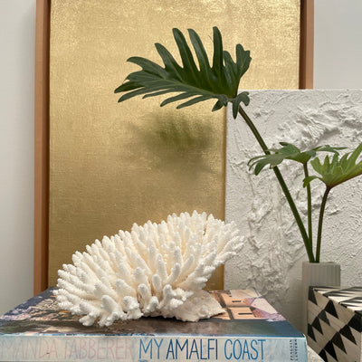 A white coral shell sculpture displayed on a stack of books, with a potted plant and a gold-framed print in the background.