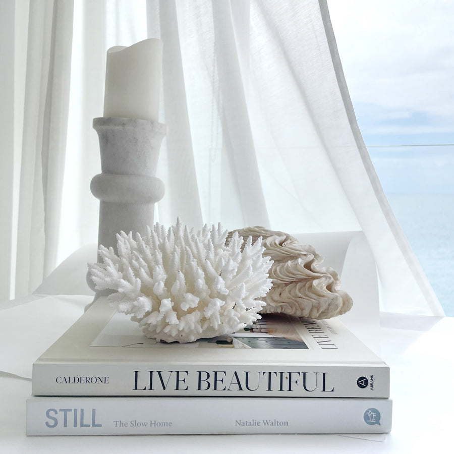 Fancy Plate Coral Sustainably Sourced