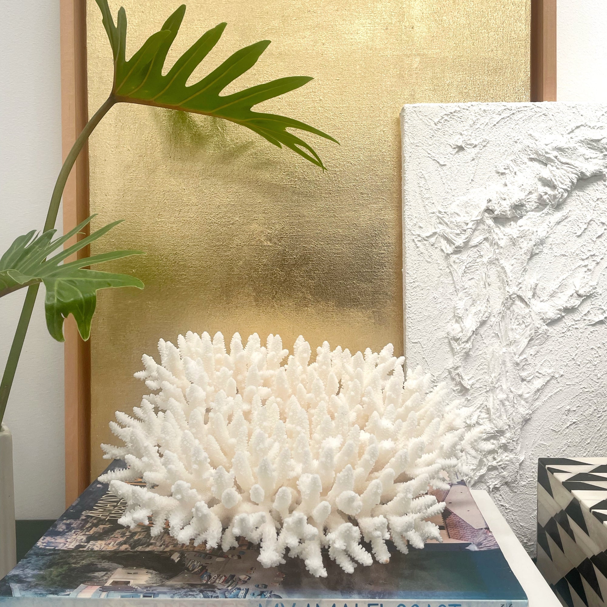 Fancy Plate Coral B