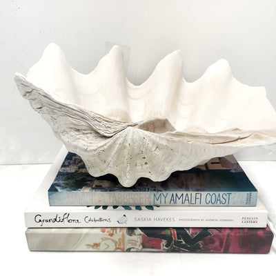 Large white shell on top of books with a white background