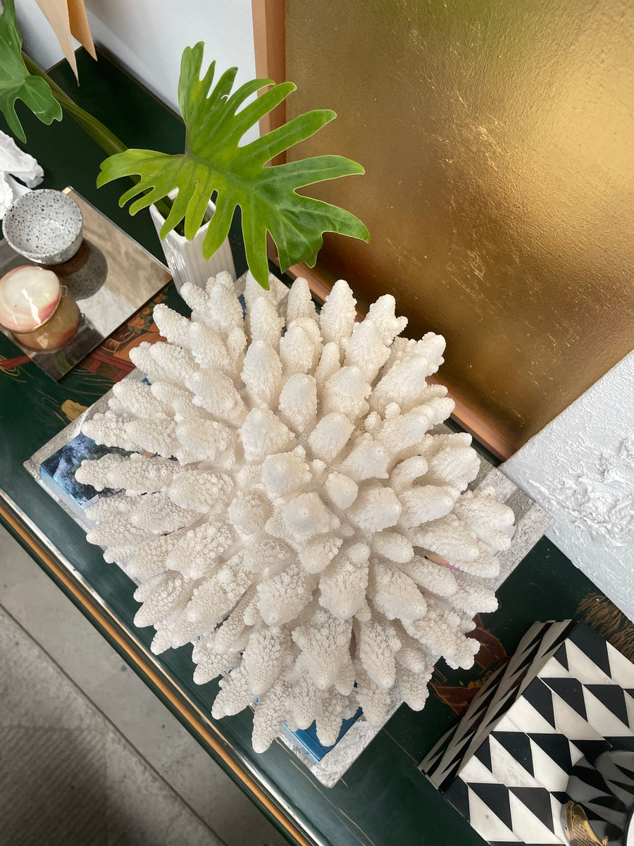 Finger Coral Specimen B