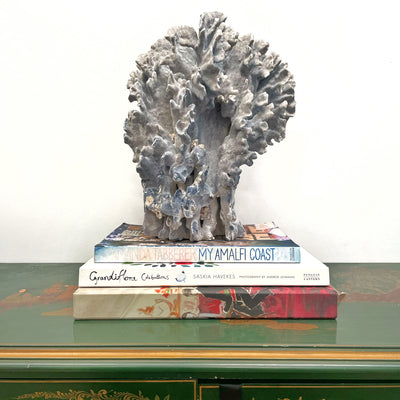 Real Blue Ridge Coral Specimen Q (Oversized)