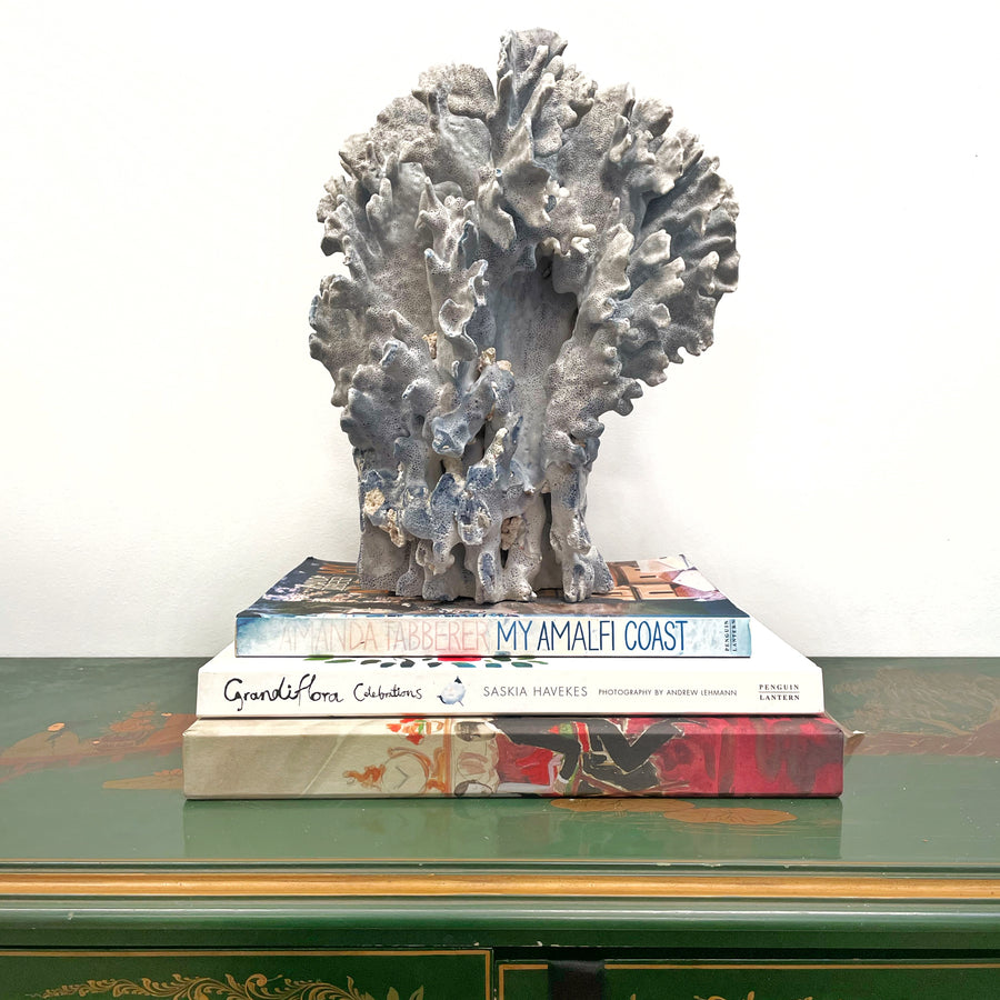 Real Blue Ridge Coral Specimen Q (Oversized)