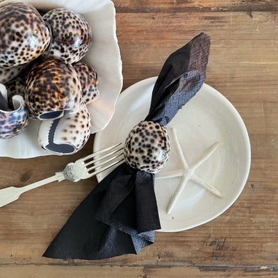 Real Tiger Cowrie Shell Napkin Ring Set 6