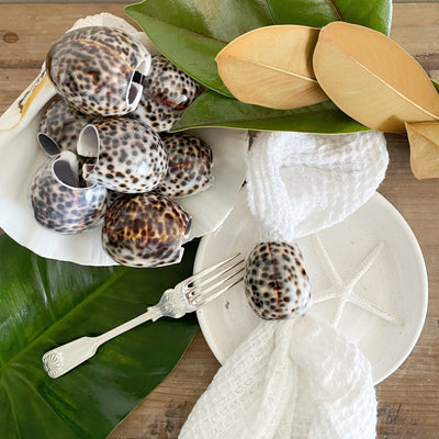 Real Tiger Cowrie Shell Napkin Ring Set 6