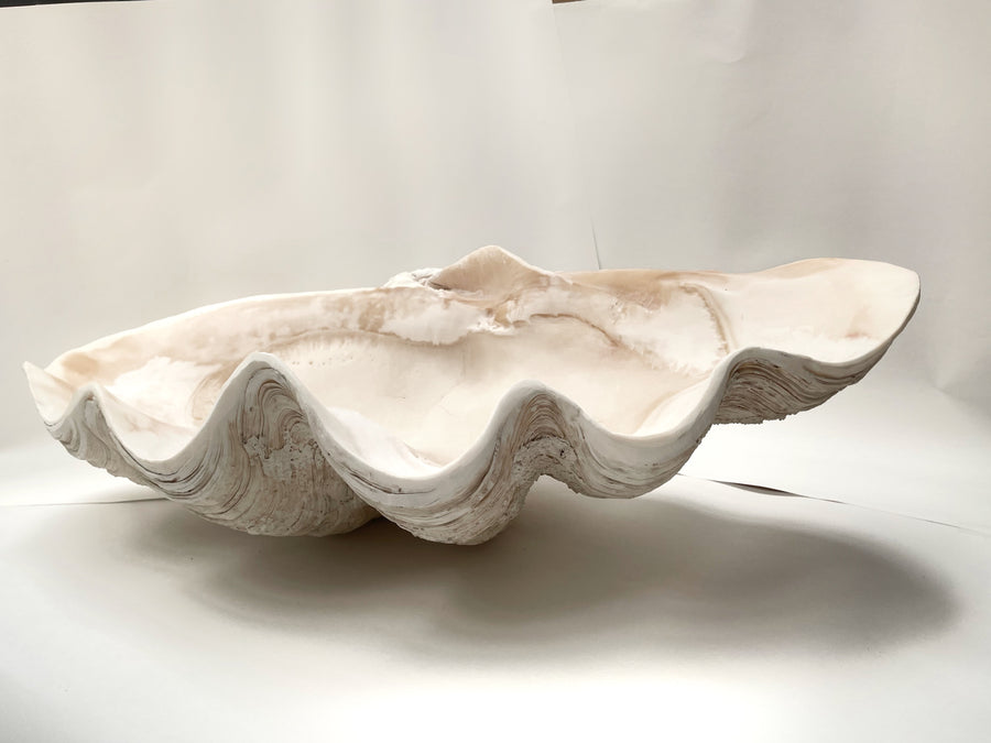 Real Giant Clamshell Double Clam 62 CM