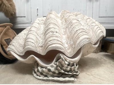 Real Giant Clamshell Double Clam 62 CM
