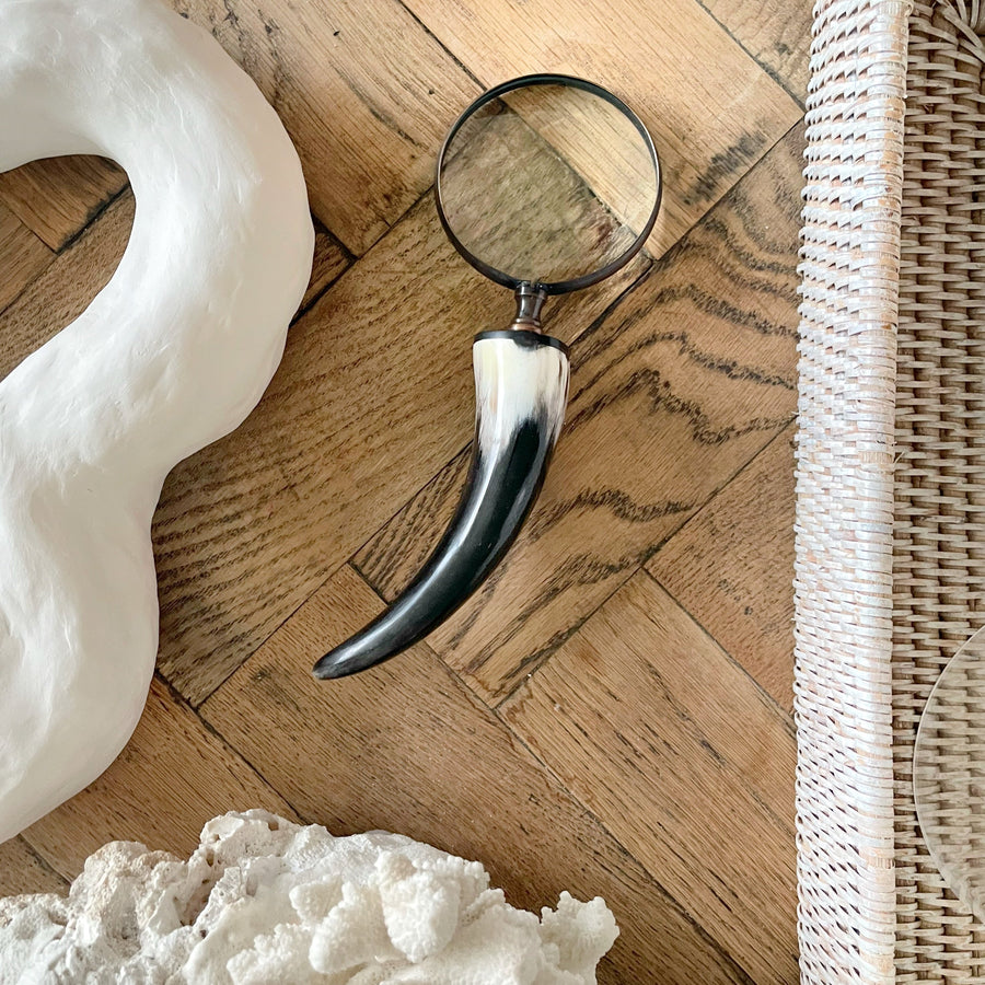 Brass & Horn Magnifying Glass