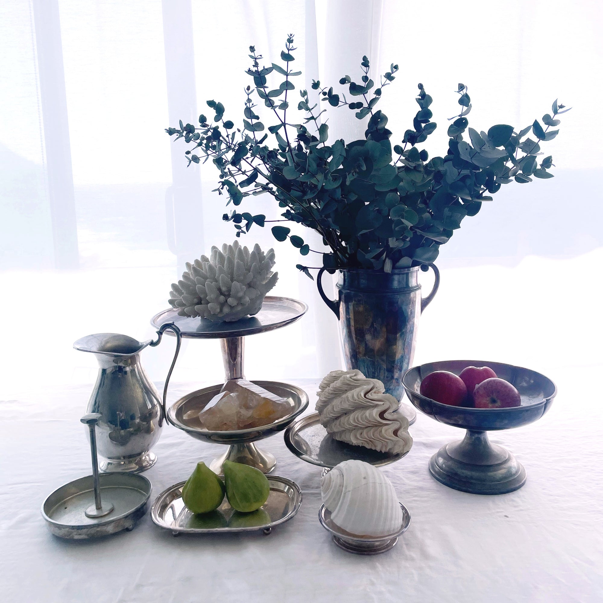 Silver Plated Champagne Coupes ***HIRE ONLY***