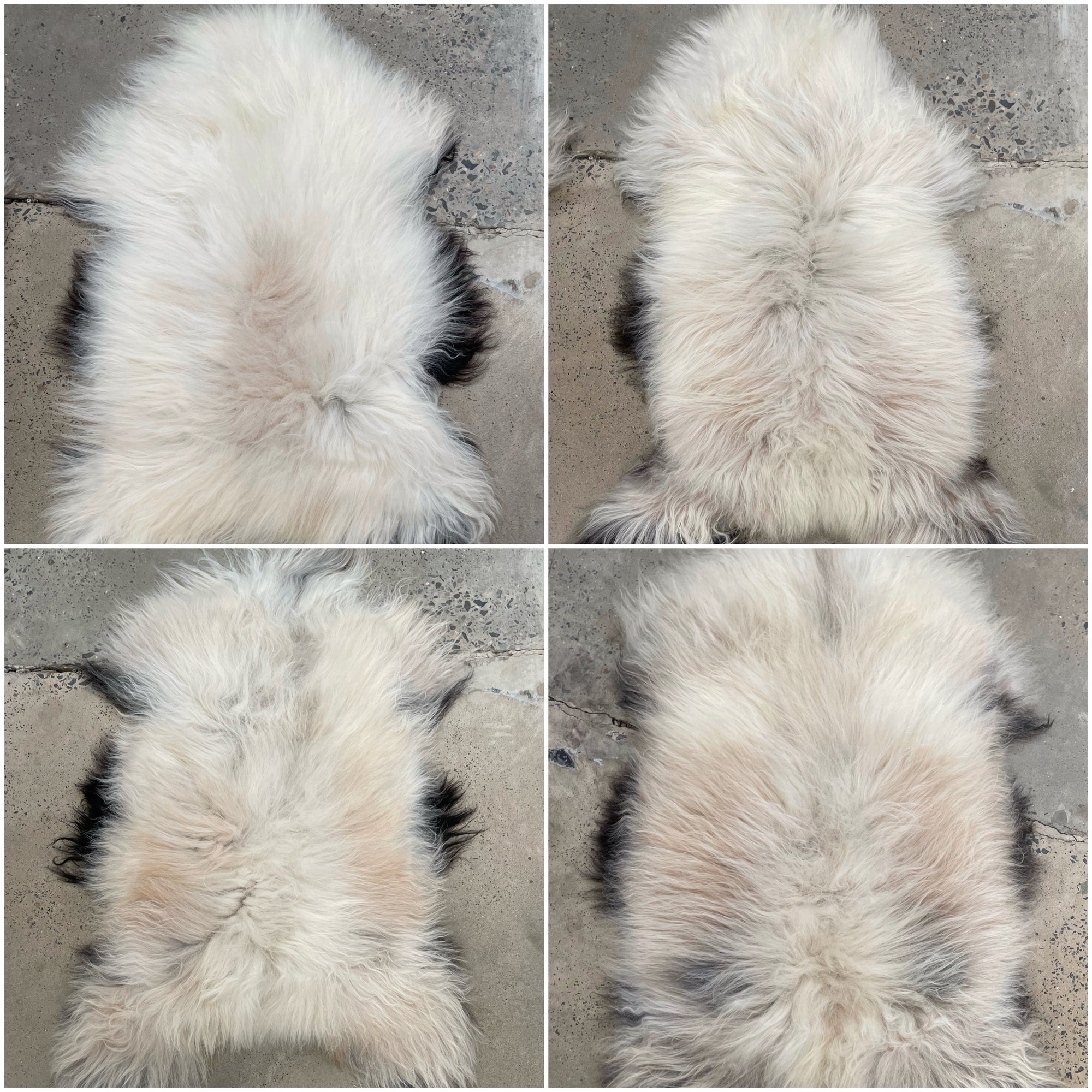 Icelandic Sheepskin - Natural Beige Dark Edges