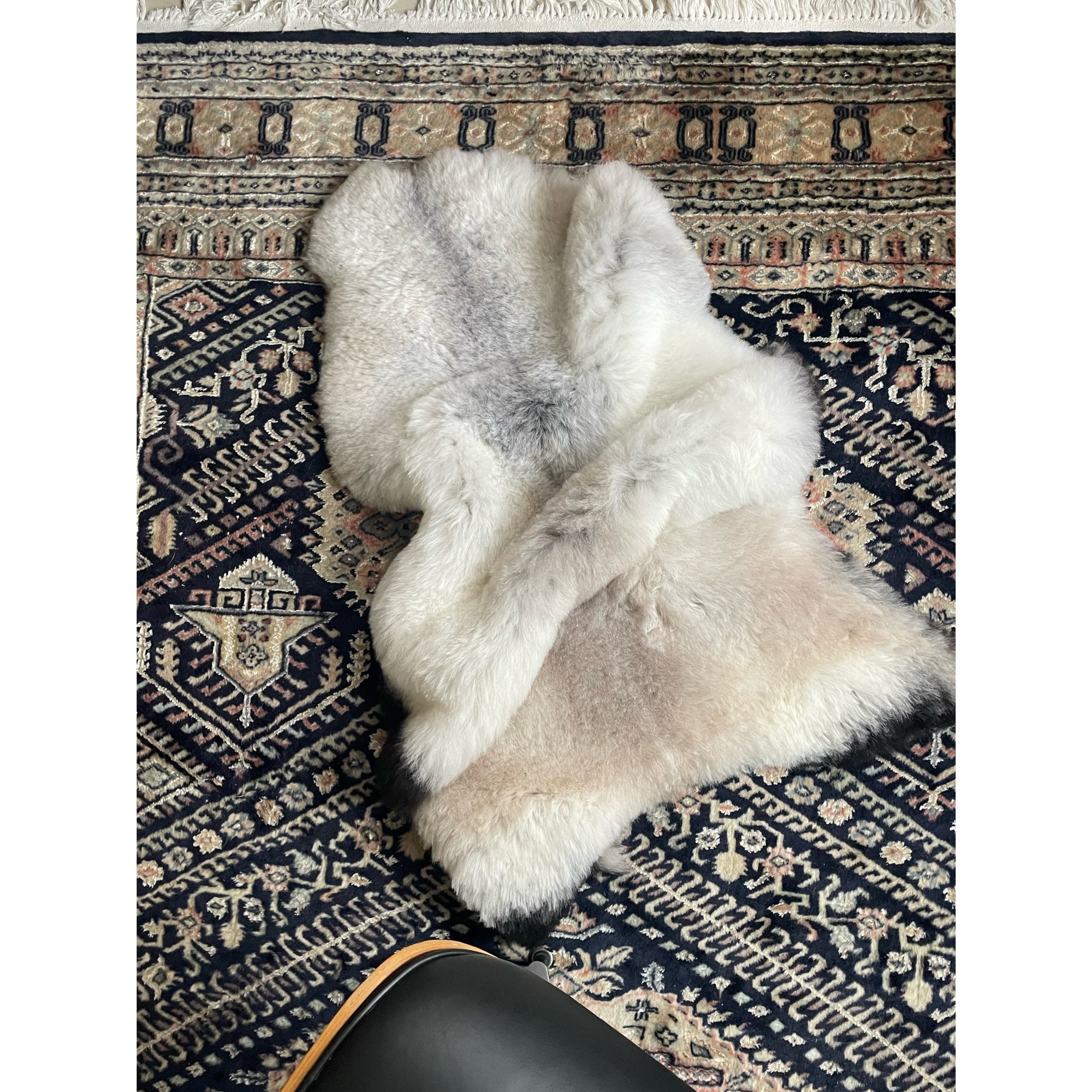 Icelandic Shorn Sheepskin - Natural Grey3