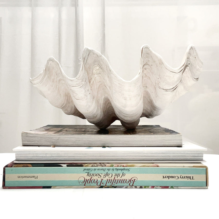 Real Giant Clamshell 39cm