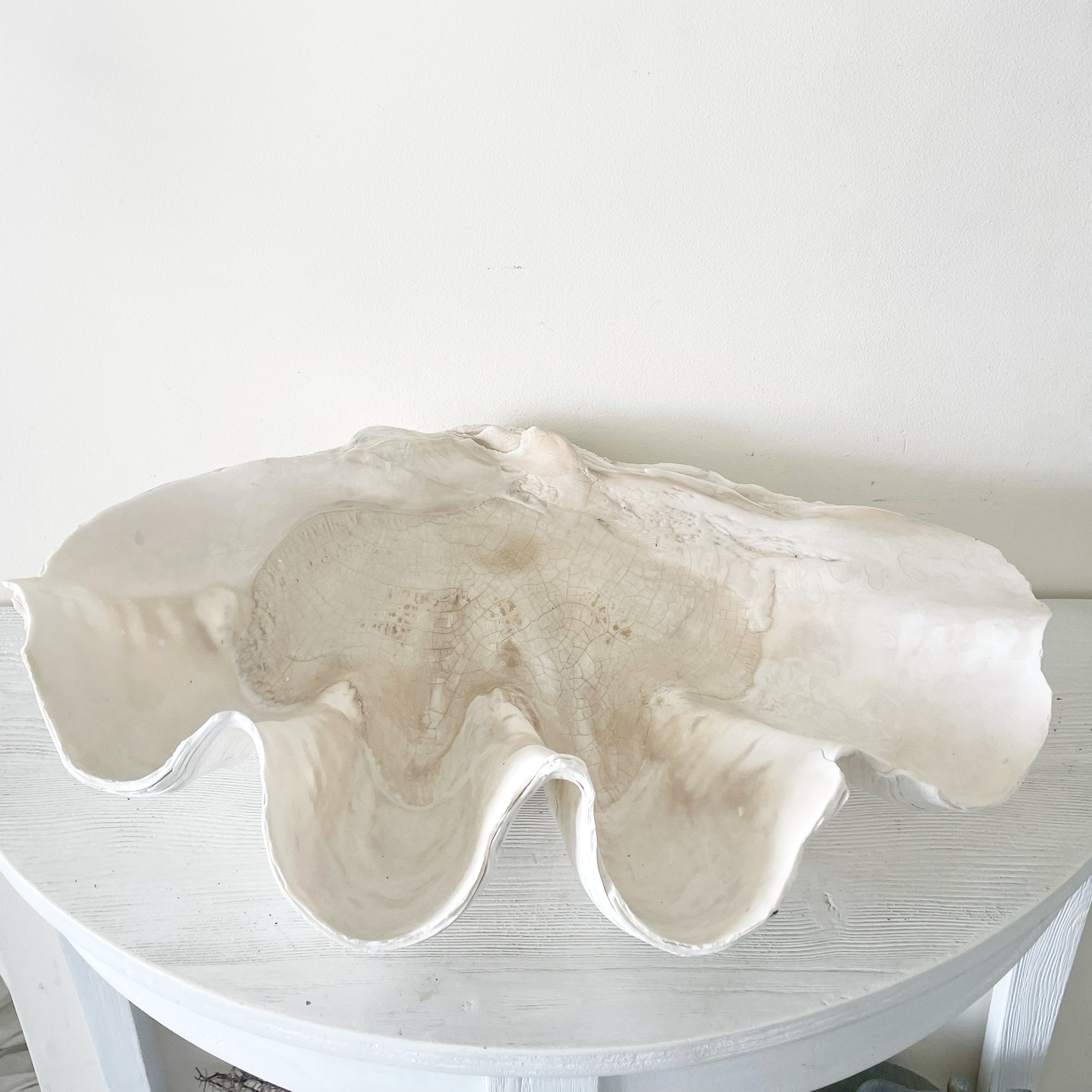 Real Giant Clamshell 49 CM