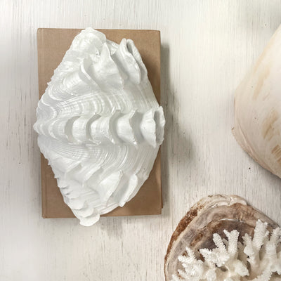 Small Fluted Ruffle Resin Clam 18cm
