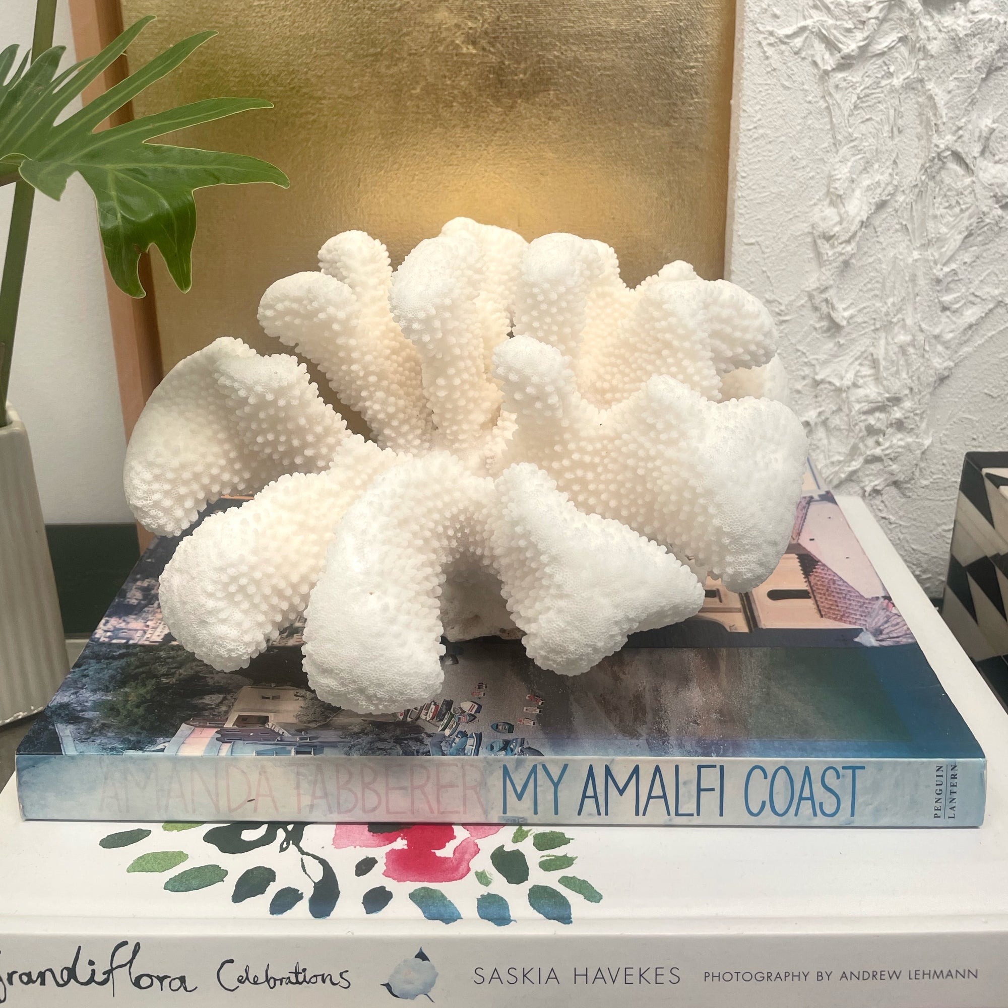 Soft Cauliflower Specimen E
