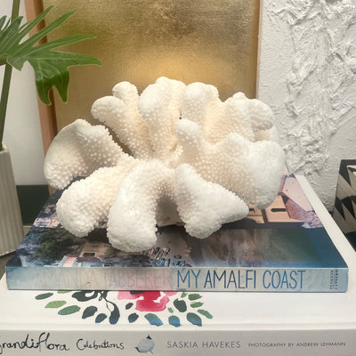 Soft Cauliflower Specimen E