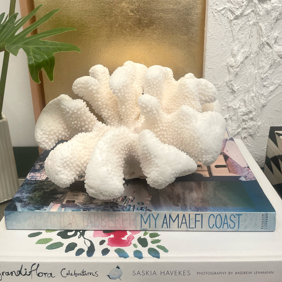 Soft Cauliflower Specimen E