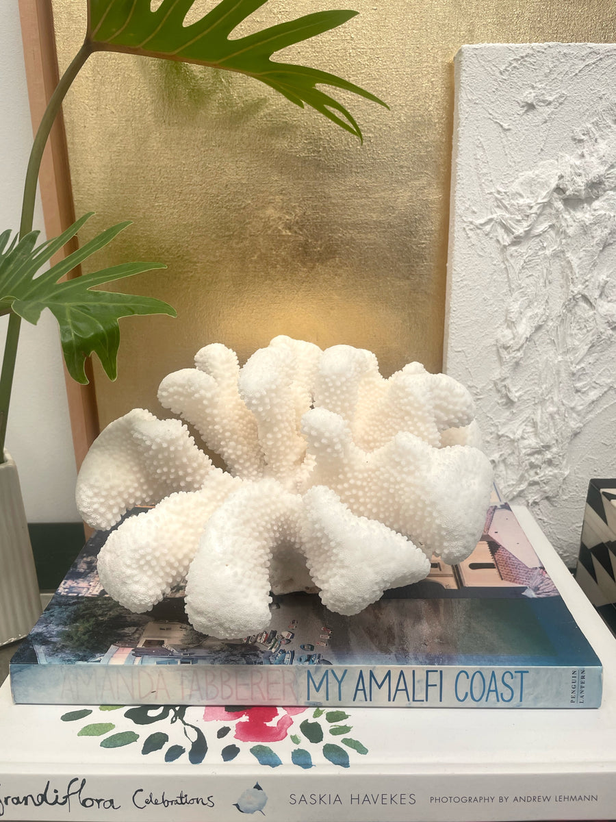 Soft Cauliflower Specimen E