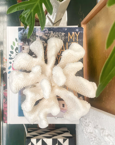 Soft Cauliflower Specimen E
