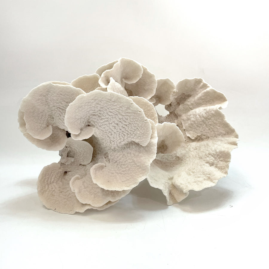 Turban Vase Coral Oversize #18