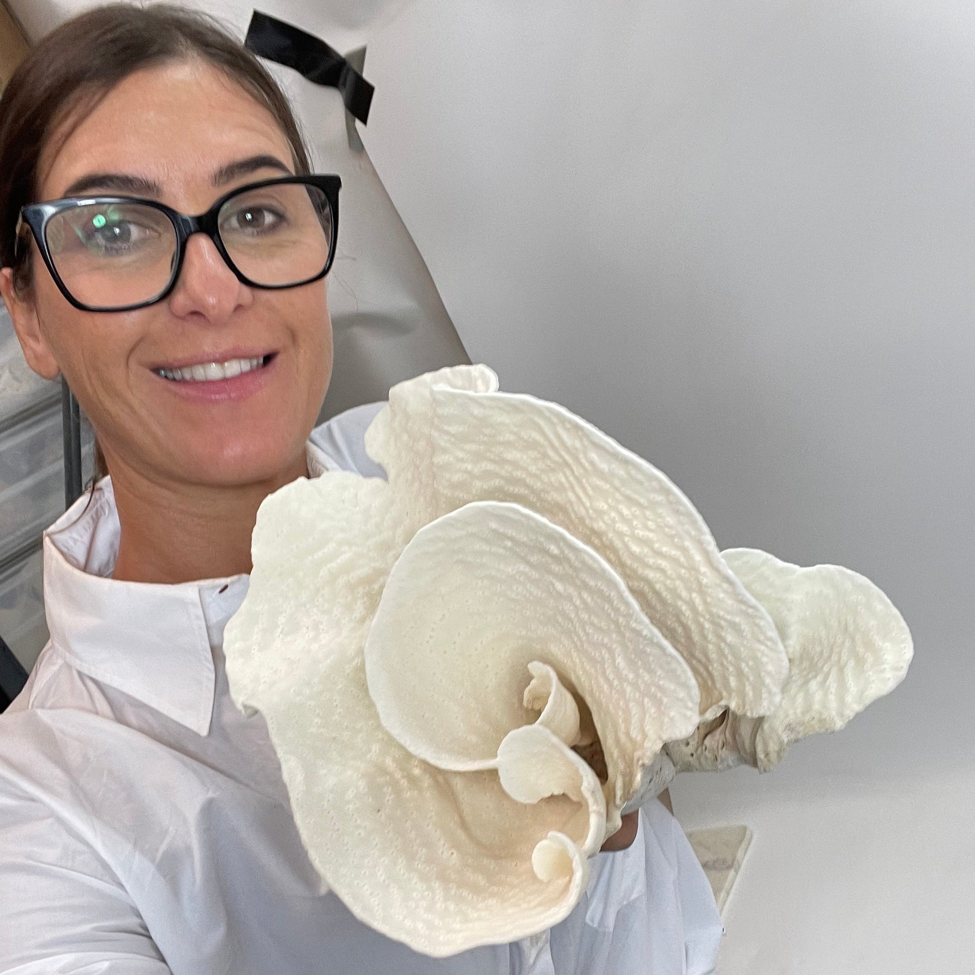 Turban Vase Coral Specimen A