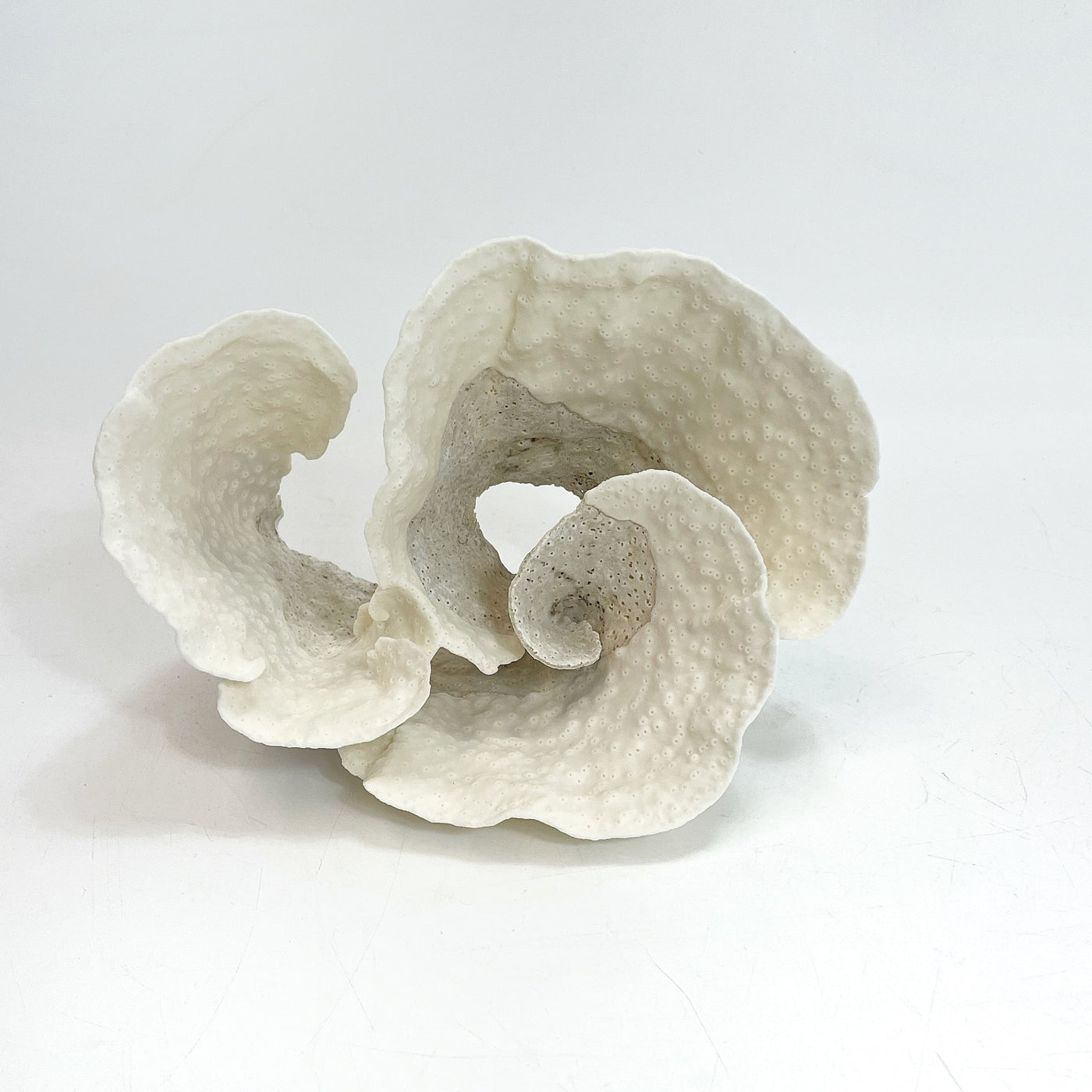 Turban Vase Coral Specimen B