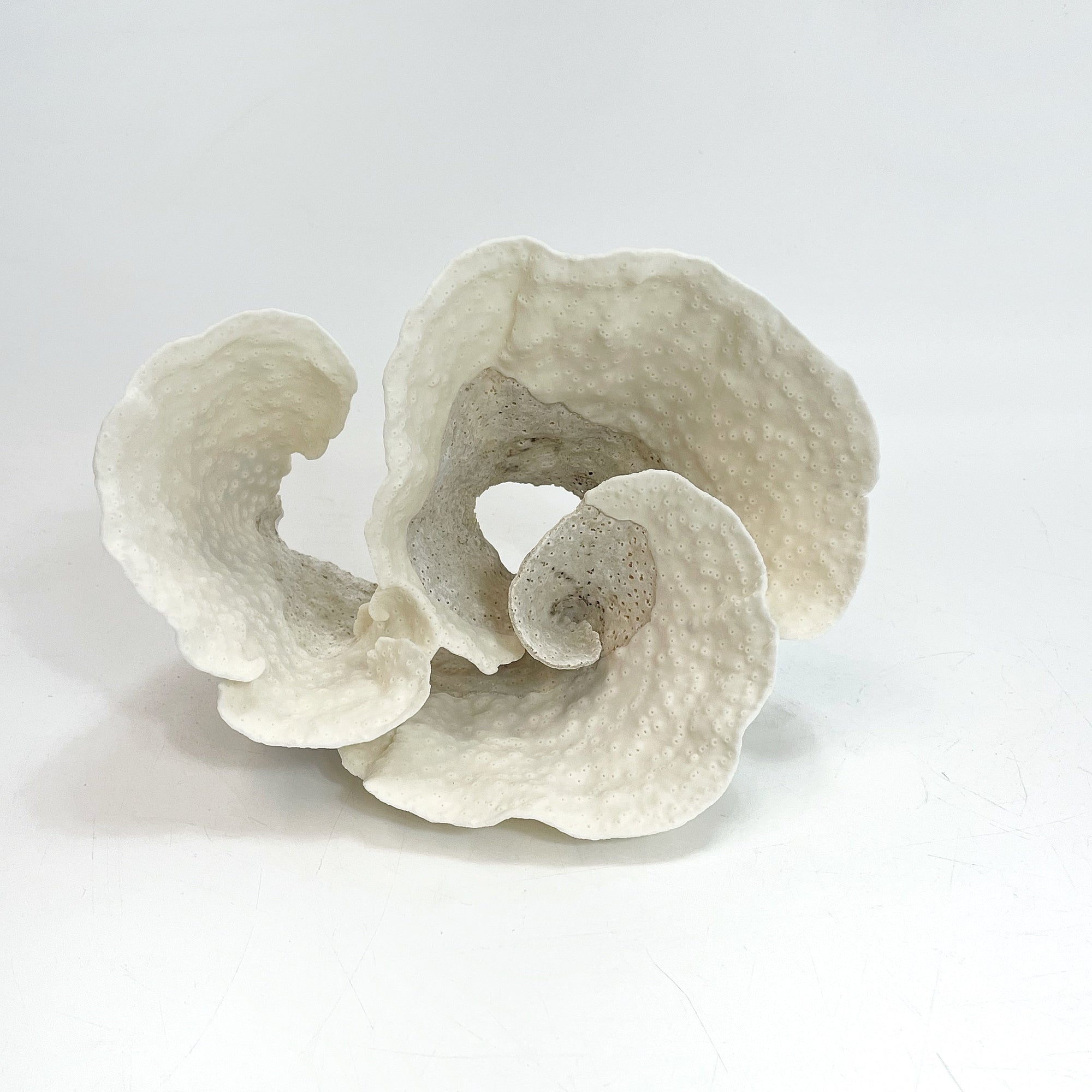 Turban Vase Coral Specimen B