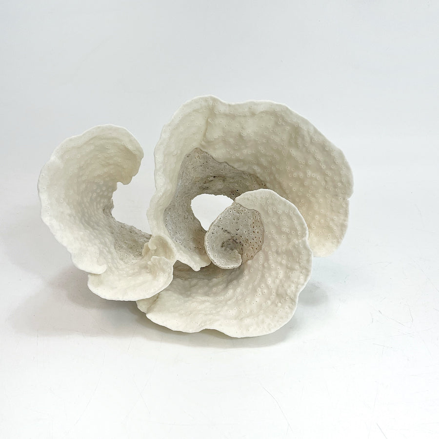 Turban Vase Coral Specimen B
