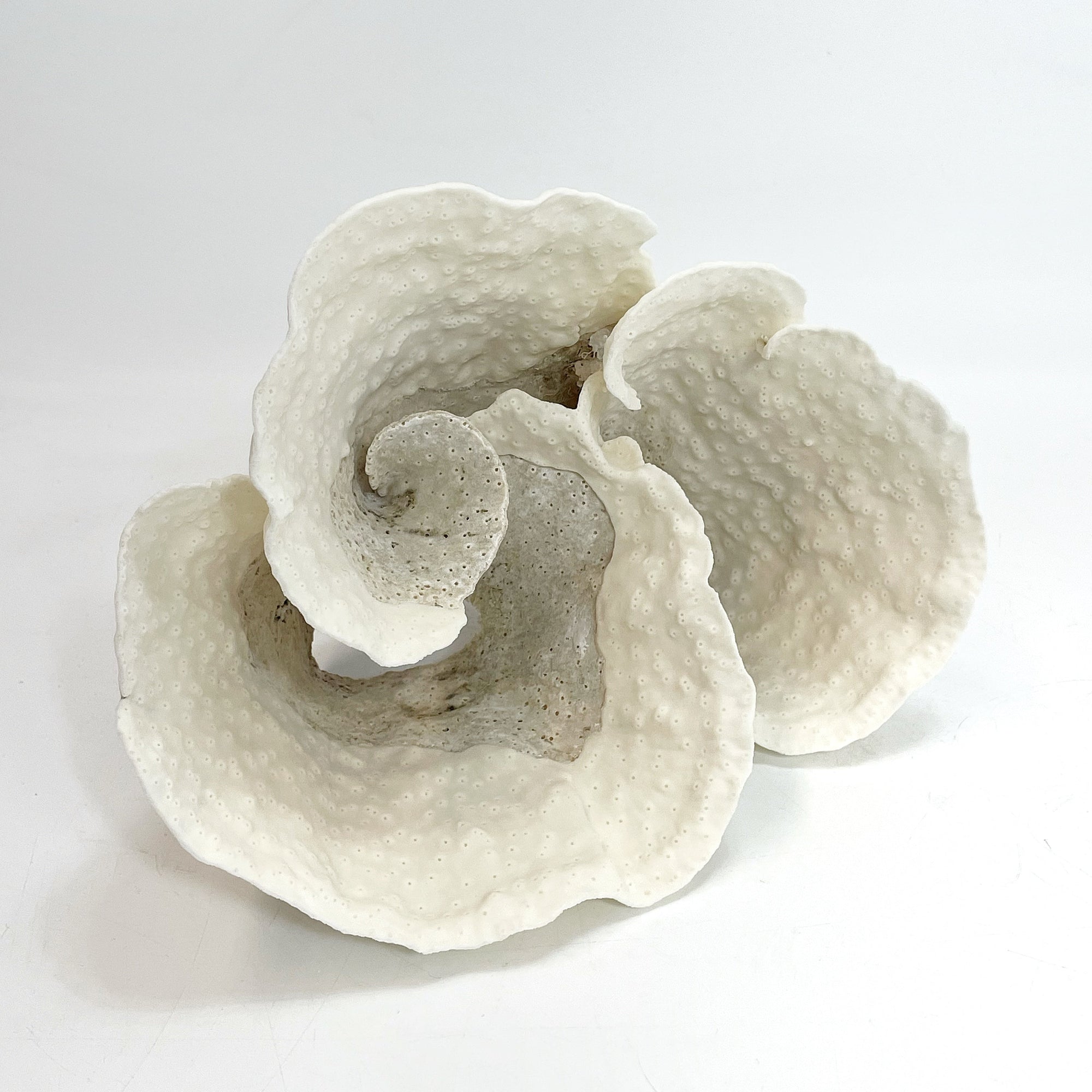 Turban Vase Coral Specimen B