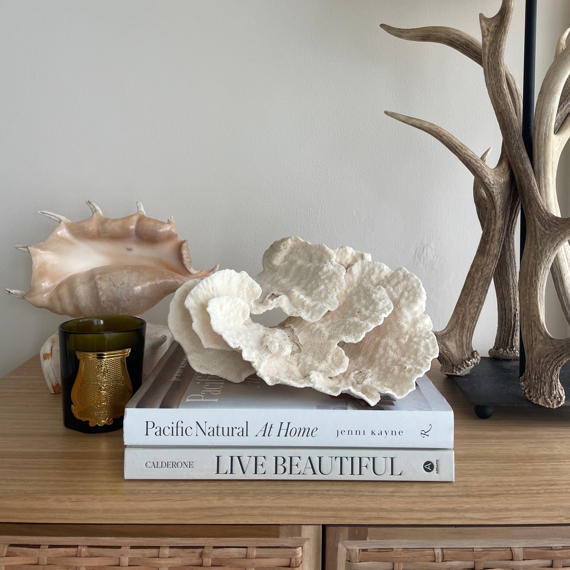 Turban Vase Coral Specimen C