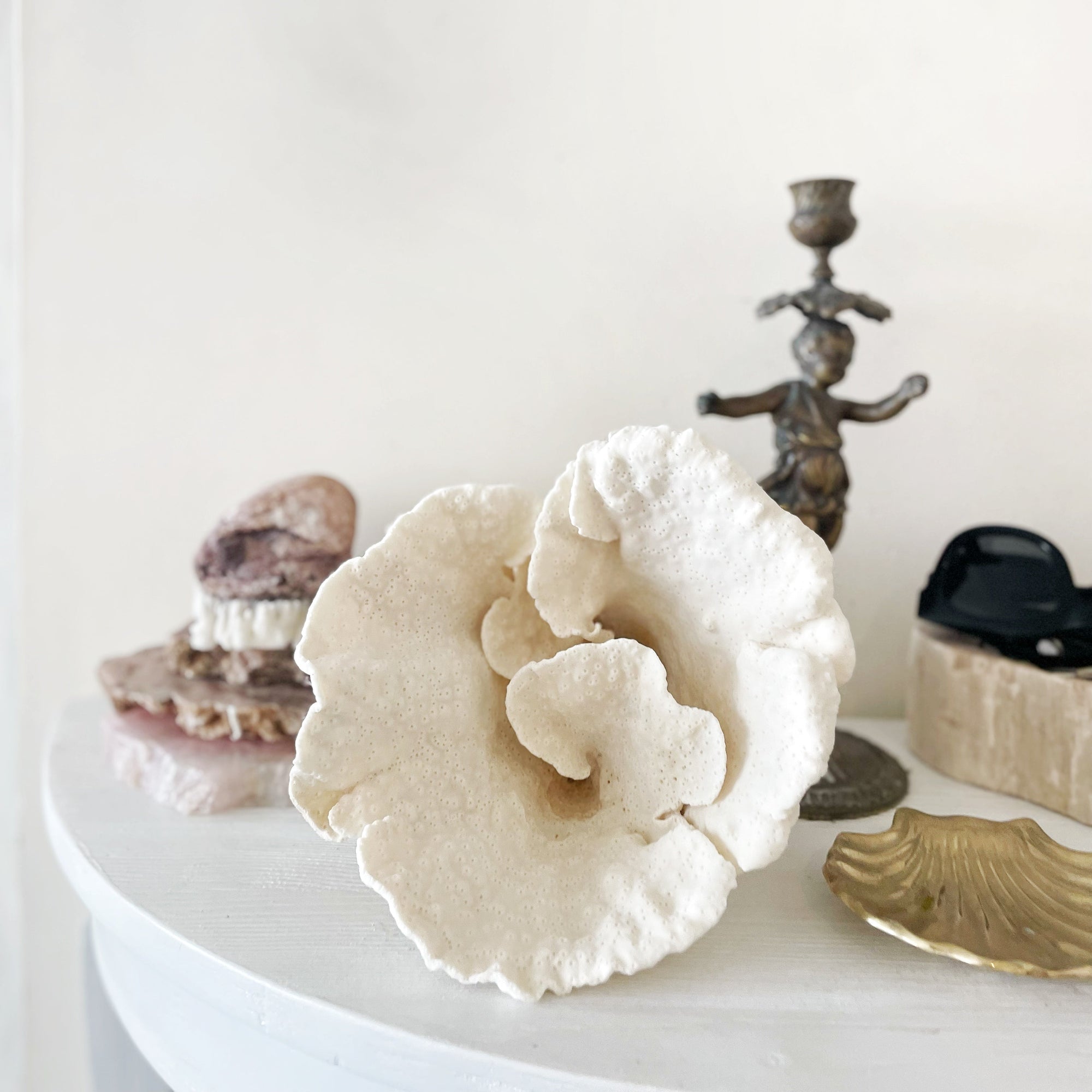 Turban Vase Coral Specimen D