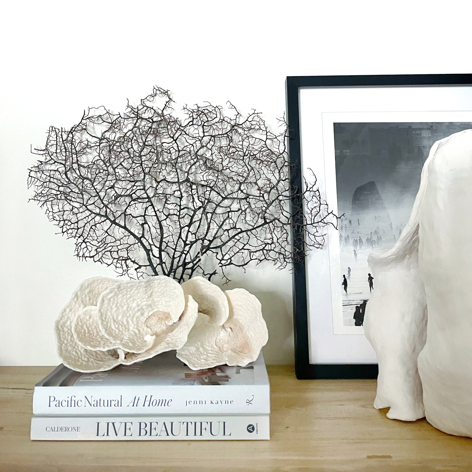 Turban Vase Coral Specimen G