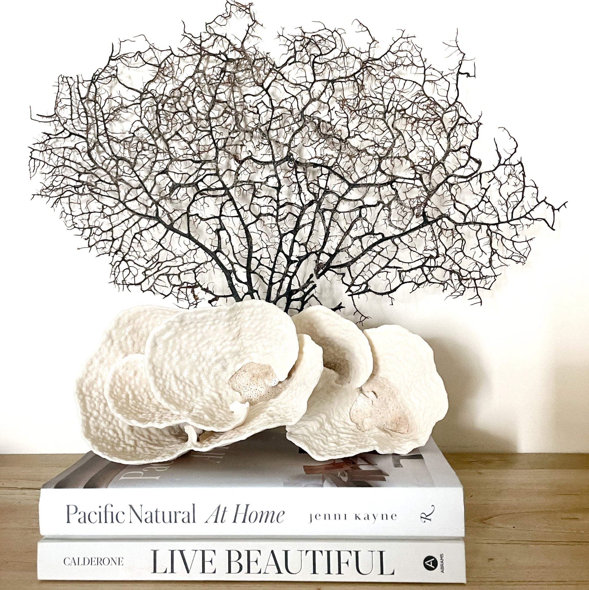 Turban Vase Coral Specimen G