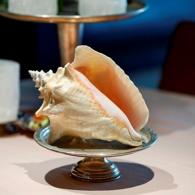 Small Silver Plated Footed Cake Stand 20 CM D **HIRE ONLY***