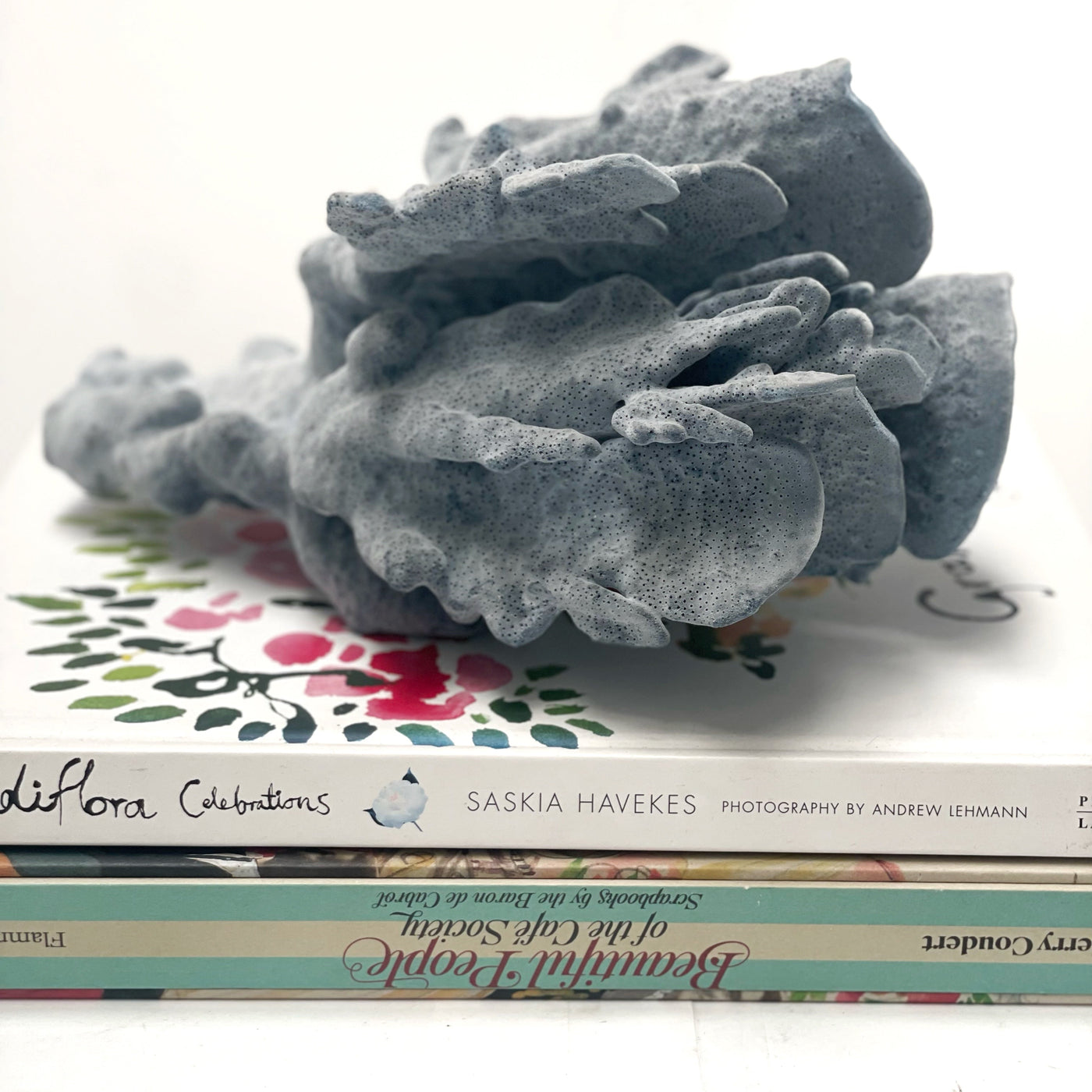 Real Blue Ridge Coral Specimen O