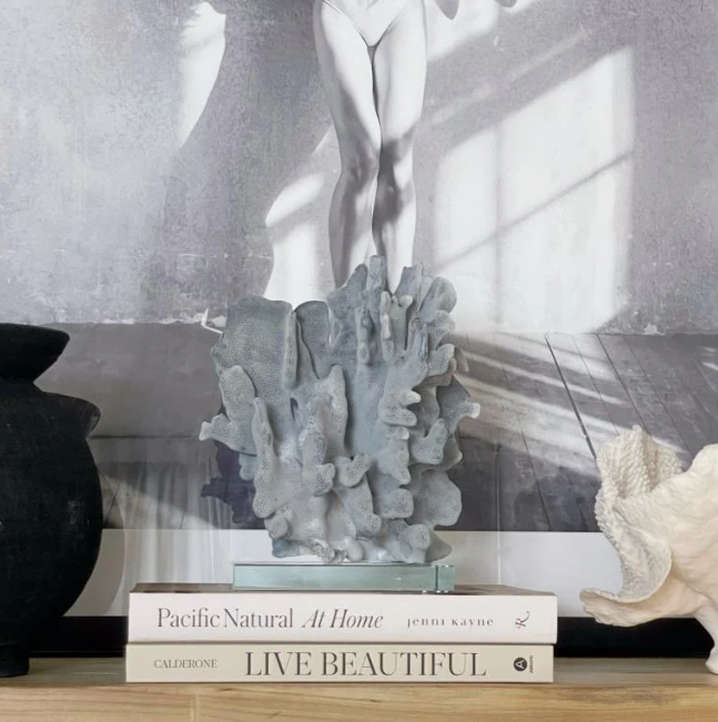 Real Blue Ridge Coral Specimen J