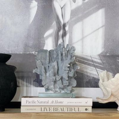 Real Blue Ridge Coral Specimen J