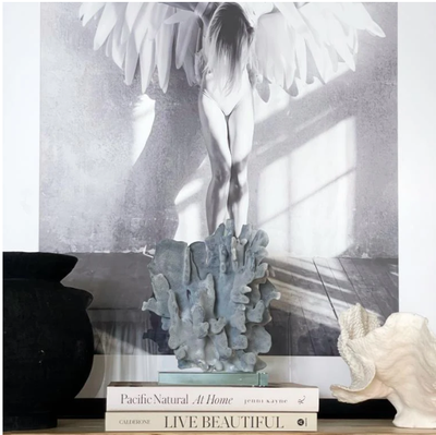 Real Blue Ridge Coral Specimen J