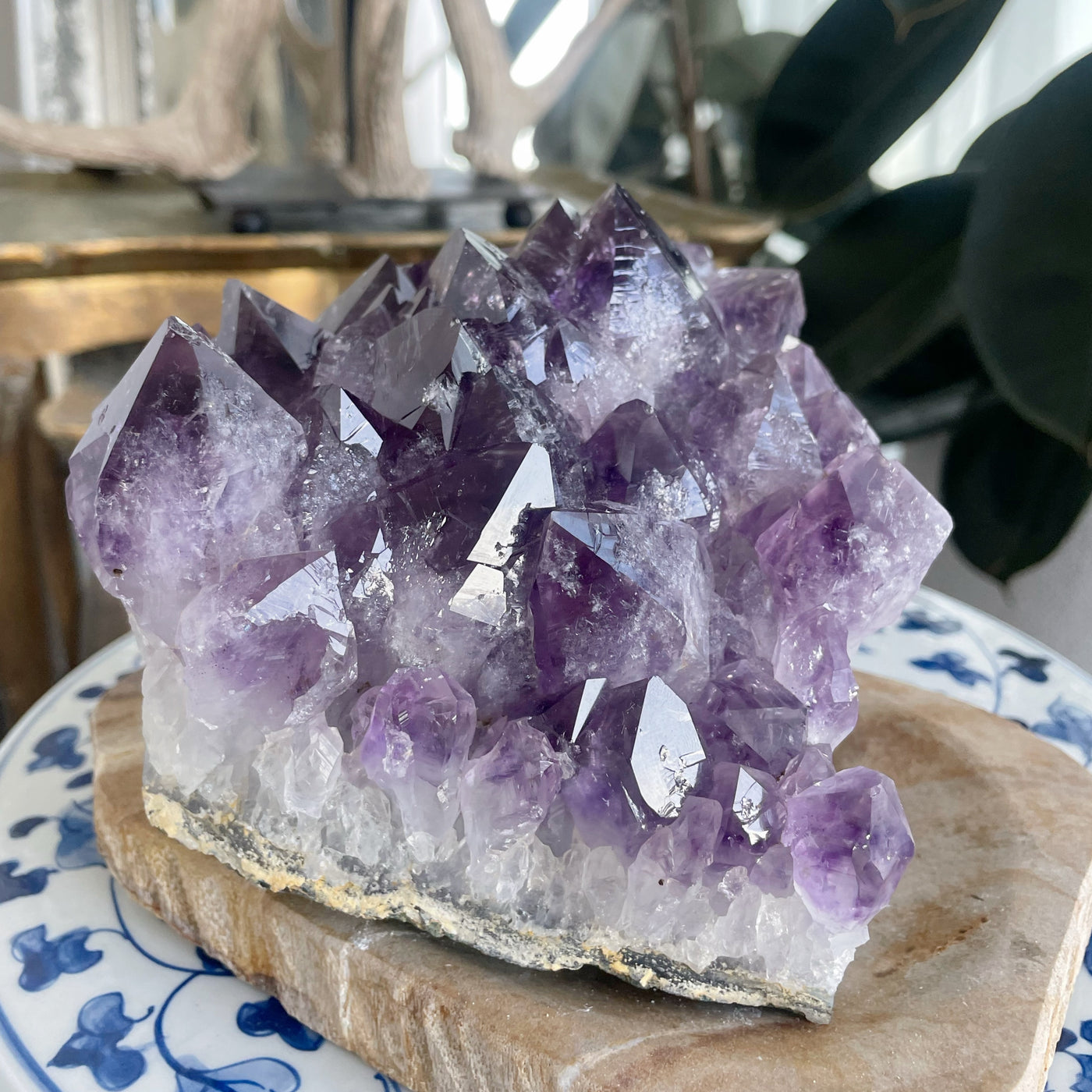 Large Thickly Pointed Amethyst Cluster