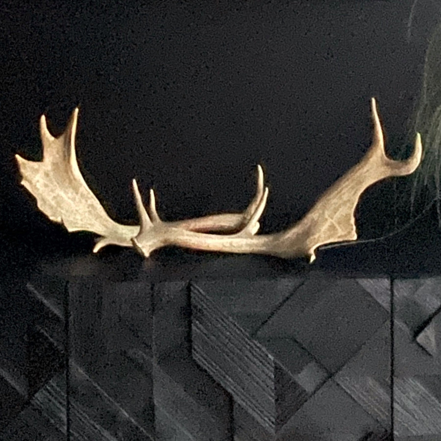 Real Fallow Deer Antler Pair