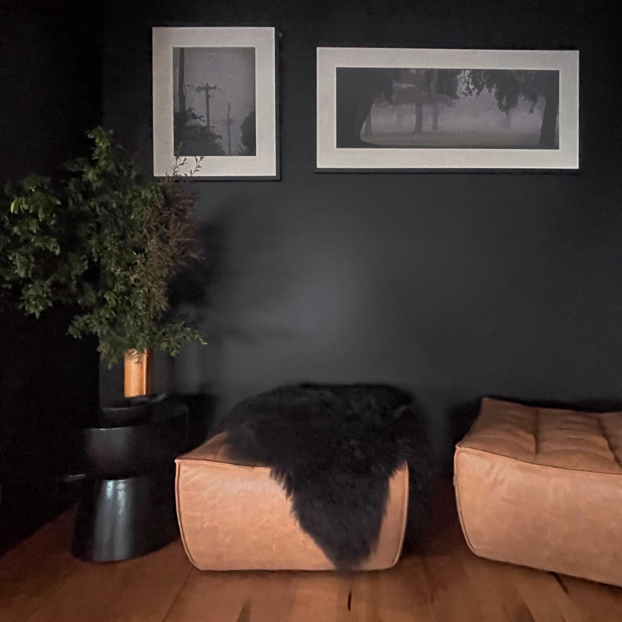 Icelandic Sheepskin Throw - Black/Brown