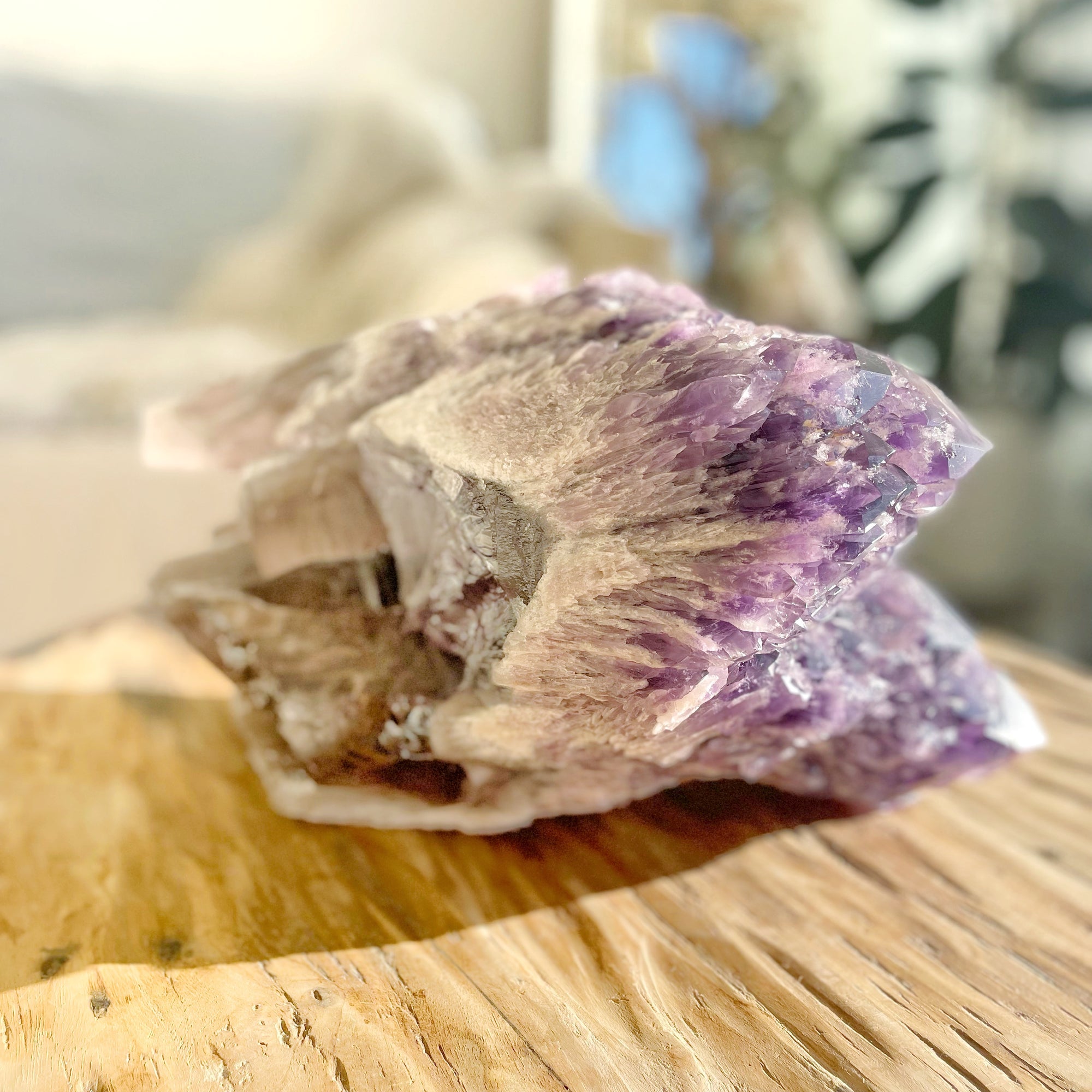 Extra Large and Heavy Elestial Amethyst Point with Smokey Quartz