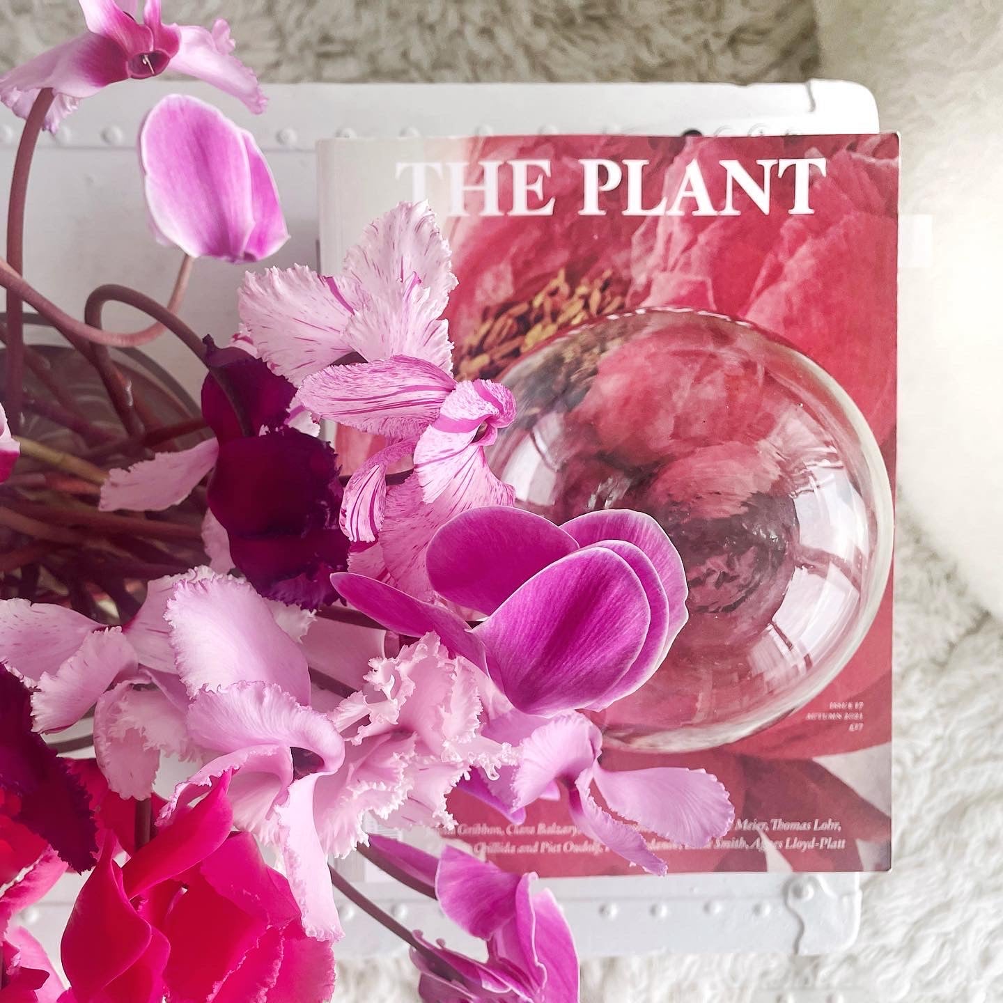 Decorative Glass Ball 4 sizes