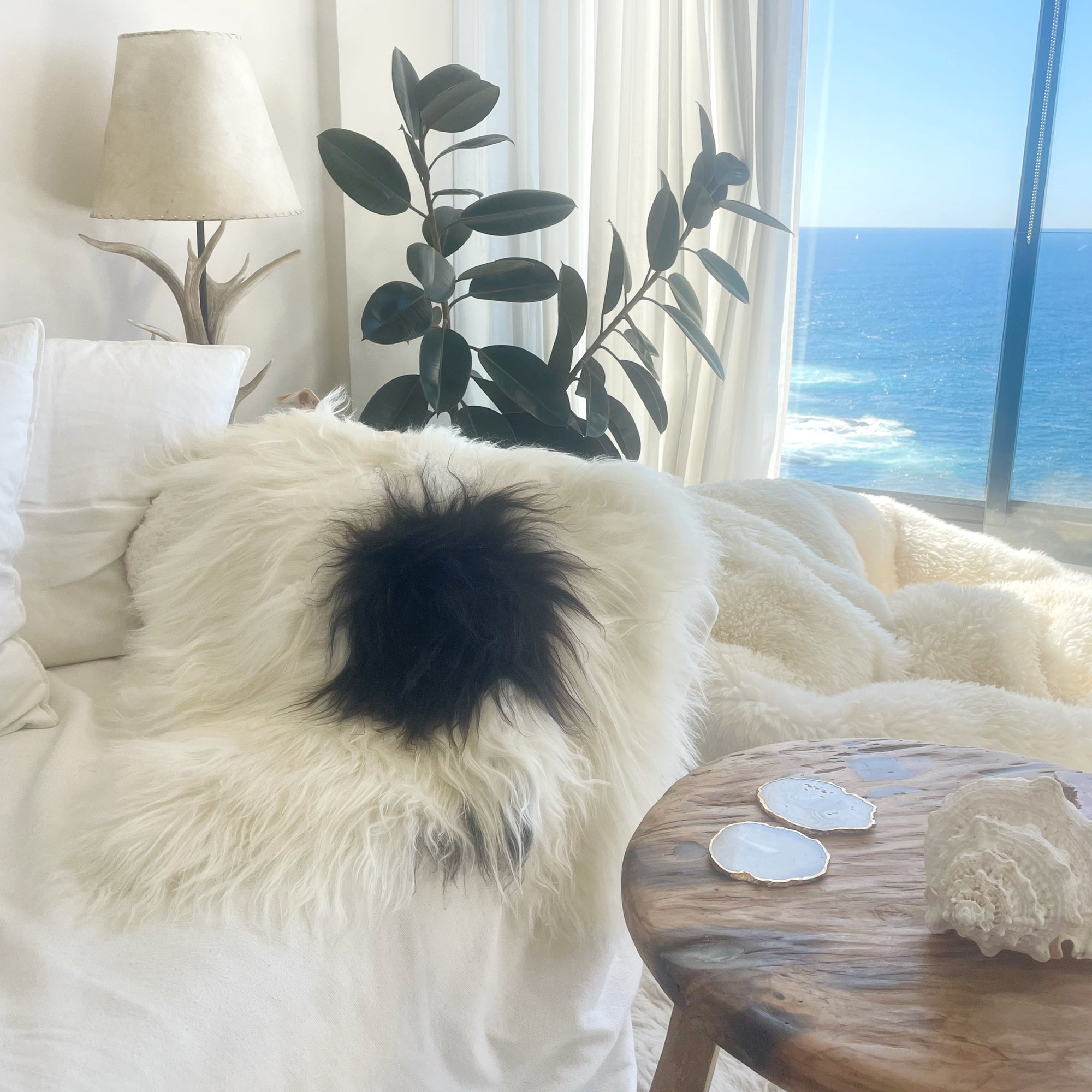 Icelandic Sheepskin - Natural White Spotted Black