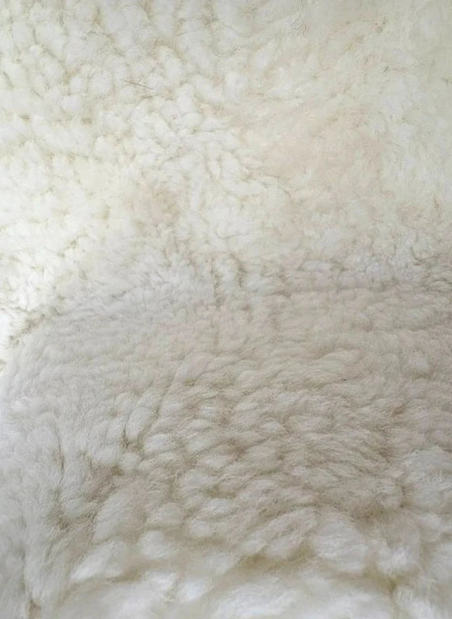 Shorn Wool Curly Shearling Sheepskin - Natural White