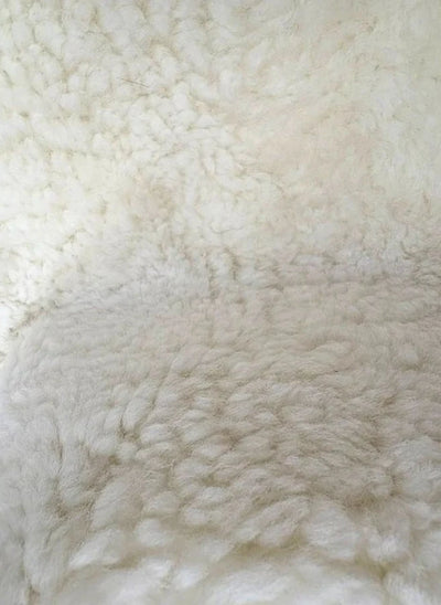 Shorn Wool Curly Shearling Sheepskin - Natural White